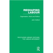 Reshaping Labour by Holford, John, 9781138333987