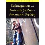 Delinquency And Juvenile Justice in American Society by Shelden, Randall G., 9781577663997