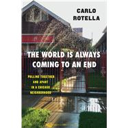 The World Is Always Coming to an End by Rotella, Carlo, 9780226624037