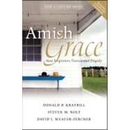 Amish Grace : How Forgiveness Transcended Tragedy by Kraybill, Donald B.; Nolt, Steven M.; Weaver-Zercher, David L., 9780470344040