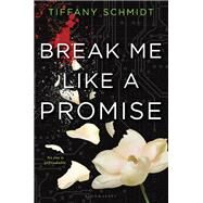 Break Me Like a Promise Once Upon a Crime Family by Schmidt, Tiffany, 9781681194042