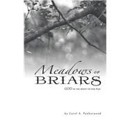 Meadows or Briars by Penhorwood, Carol A., 9781973624042