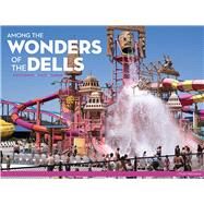 Among the Wonders of the Dells by Friedman, J. Tyler, 9780299324049