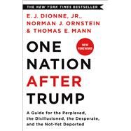 One Nation After Trump by Dionne, E. J., Jr.; Ornstein, Norman J.; Mann, Thomas E., 9781250164056
