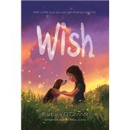 Wish by O'Connor, Barbara, 9781250144058