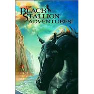 The Black Stallion Adventures The Black Stallion Returns; The Black Stallion's Ghost; The Black Stallion Revolts by FARLEY, WALTER, 9780375834066