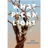 What Pecan Light by Vanderhart, Hannah, 9781949344066