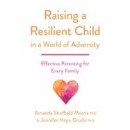 Raising a Resilient Child in a World of Adversity Effective Parenting for Every Family by Morris, Amanda Sheffield; Hays-Grudo, Jennifer, 9781433834073