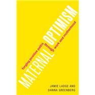 Maternal Optimism Forging Positive Paths through Work and Motherhood by Ladge, Jamie; Greenberg, Danna, 9780190944094