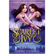 The Dance in the Dark by Cleverly, Sophie, 9781492634096