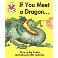 If You Meet a Dragon by Cowley, Joy; Parkinson, Rita, 9780780274099