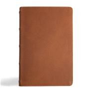 CSB Men's Daily Bible, Brown Genuine Leather by Wolgemuth, Robert; CSB Bibles by Holman, 9781430094104