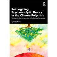 Reimagining Psychoanalytic Theory in the Climate Polycrisis by Ryan LaMothe, 9781032854106