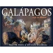 Galpagos by Perez, Walter; Weisberg, Michael, 9780691174136