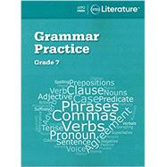 Into Literature Grammar Practice Workbook Grade 7 by Houghton Mifflin, 9780358264149