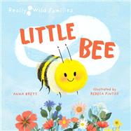 Little Bee A Day in the Life of a Little Bee by Brett, Anna; Pintos, Rebeca, 9780711274150
