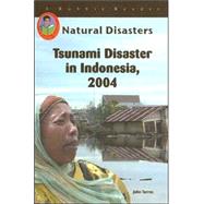 Tsunami Disaster In Indonesia, 2004 by Torres, John Albert, 9781584154150