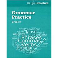 Into Literature Grammar Practice Workbook Grade 8 by Houghton Mifflin, 9780358264156