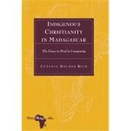 Indigenous Christianity in Madagascar by Rich, Cynthia Holder, 9781433114168