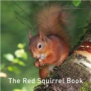 The Red Squirrel Book by Jane, Russ, 9781912654178