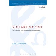 You Are My Son The Family of God in the Epistle to the Hebrews by Peeler, Amy L. B., 9780567654182