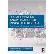 Social Network Analysis and Text Mining for Big Data by Andrea Fronzetti Colladon; Roberto Vestrelli, 9781040384190