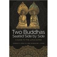 Two Buddhas Seated Side by Side by Lopez, Donald S., Jr.; Stone, Jacqueline I., 9780691174204