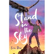 Stand on the Sky by Bow, Erin, 9780358434207