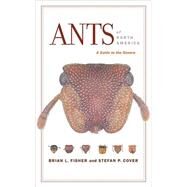 Ants of North America by Fisher, Brian L., 9780520254220
