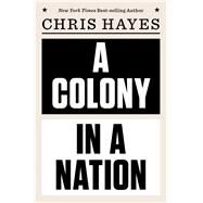 A Colony in a Nation by Hayes, Chris, 9780393254228