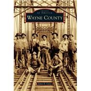 Wayne County by Casto, James E., 9781467134231