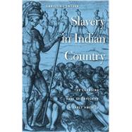 Slavery in Indian Country: The Changing Face of Captivity in Early America by Snyder, Christina, 9780674064232