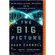 The Big Picture by Carroll, Sean, 9781101984253
