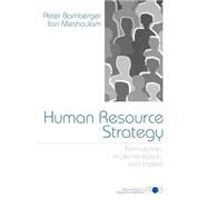 Human Resource Strategy : Formulation, Implementation, and Impact by Peter A. Bamberger, 9780761914259