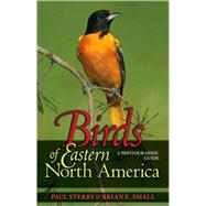 Birds of Eastern North America by Sterry, Paul, 9780691134260