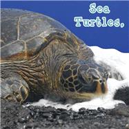 Sea Turtles, What Do You Do? by Karapetkova, Holly, 9781604724288