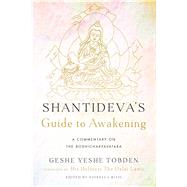 Shantideva's Guide to Awakening by Tobden, Yeshe; Dalai Lama XIV; Rizzi, Fiorella; Bazzano, Manu; Doveton, Sarita, 9781614294306