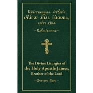 The Divine Liturgies of the Holy Apostle James, Brother of the Lord Slavonic-English Parallel Text by Permiakov, Vitaly, 9780884654308