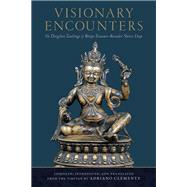Visionary Encounters The Dzogchen Teachings of Bnpo Treasure-Revealer Shense Lhaje by Clemente, Adriano, 9781559394321