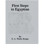 First Steps In Egyptian by Budge, 9781138974326