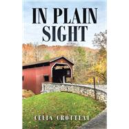 In Plain Sight by Celia Crotteau, 9781669874331