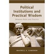 Political Institutions and Practical Wisdom Between Rules and Practice by Cameron, Maxwell A., 9780190694333