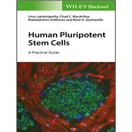 Human Pluripotent Stem Cells A Practical Guide by Lakshmipathy, Uma; Macarthur, Chad C.; Sridharan, Mahalakshmi; Quintanilla, Rene H., 9781119394334
