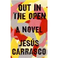 Out in the Open by Carrasco, Jess; Costa, Margaret Jull, 9781594634369