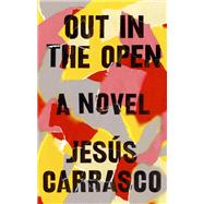 Out in the Open by Carrasco, Jesus; Costa, Margaret Jull, 9781594634376