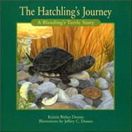 Hatchling's Journey by Domm, Kristin Bieber, 9781551094380
