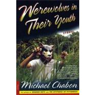 Werewolves in Their Youth Stories by Chabon, Michael, 9780312254384