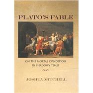 Plato's Fable by Mitchell, Joshua, 9780691124384