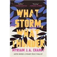 What Storm, What Thunder by Chancy, Myriam JA, 9781953534385