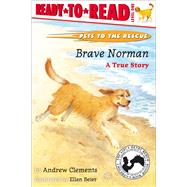 Brave Norman A True Story (Ready-to-Read Level 1) by Clements, Andrew; Beier, Ellen, 9780689834387
